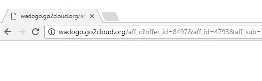 Wadogo.go2cloud.org virus