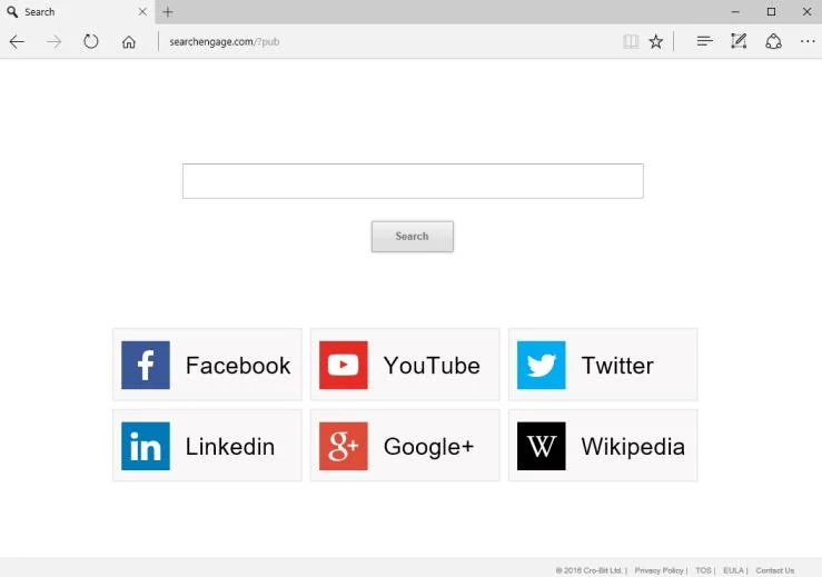 searchengage.com redirect