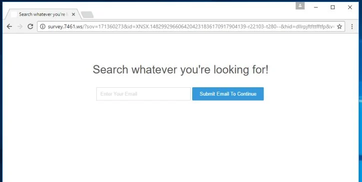 survey.7461.ws virus