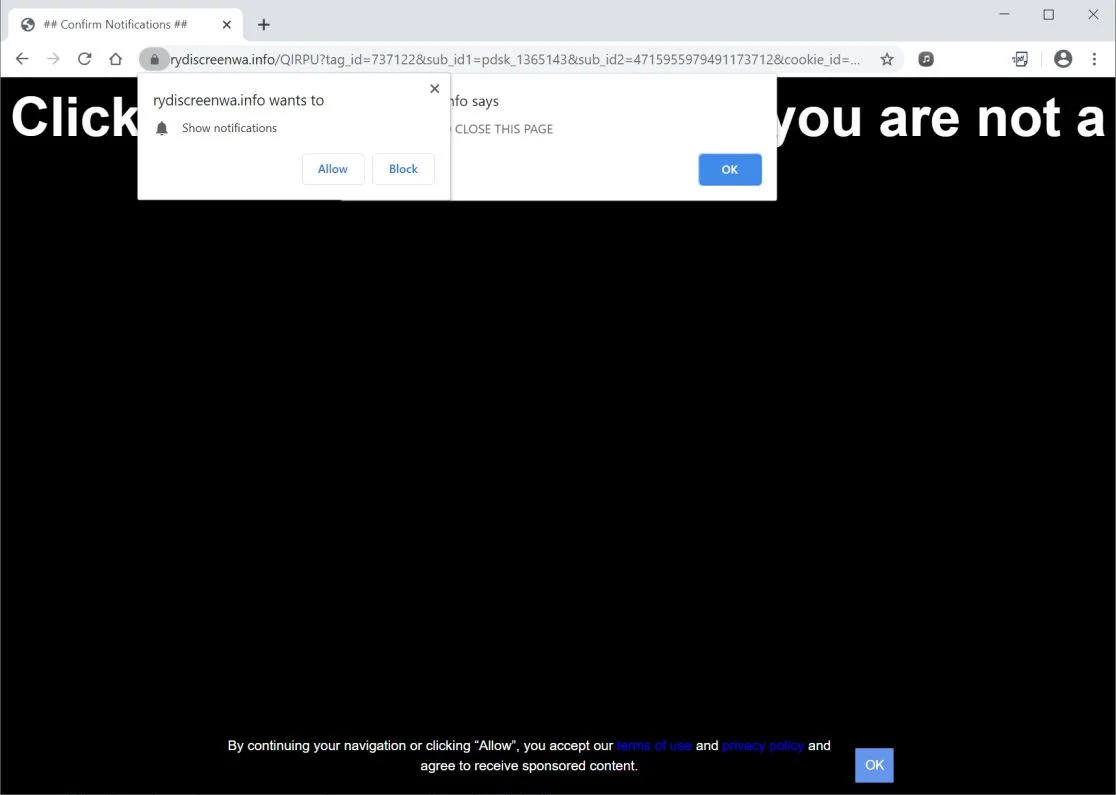 Image: Chrome browser is redirected to Rydiscreenwa.info