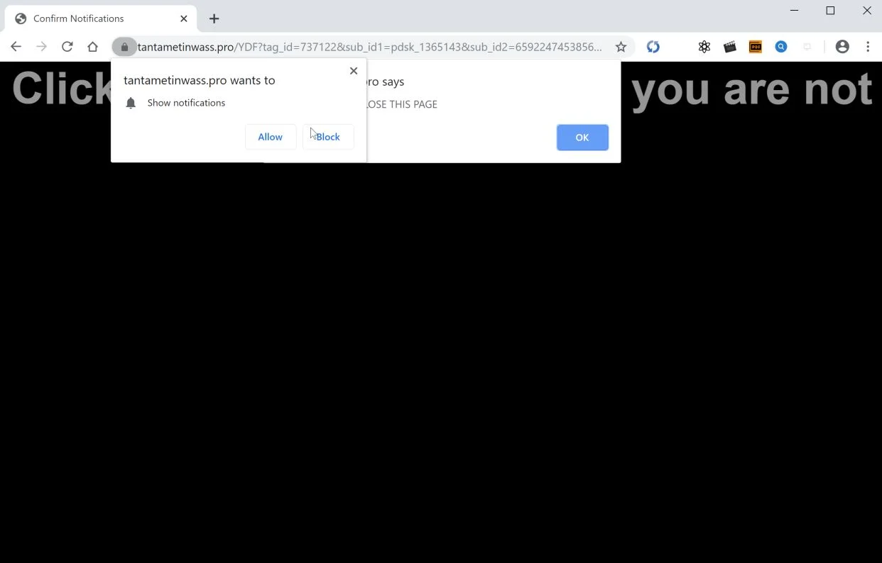 How to remove Tantametinwass.pro pop-up ads (Virus Removal Guide) 1 Image: Chrome browser is redirected to Tantametinwass.pro