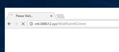 intl.088612.xyz virus