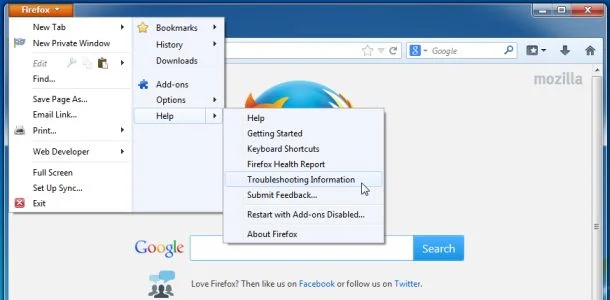 [Image: Firefox Troubleshooting Information]