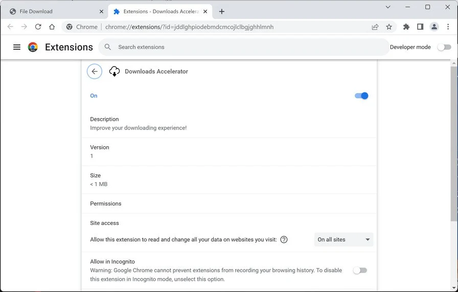 Image: Downloads Accelerator Chrome Extension