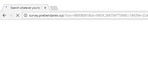 survey.prebendaries.xyz redirect survey.prebendaries.xyz virus