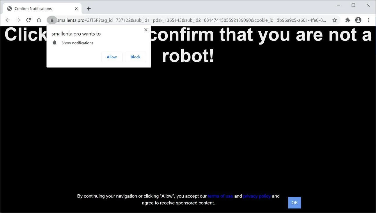 Image: Chrome browser is redirected to Smallenta.pro