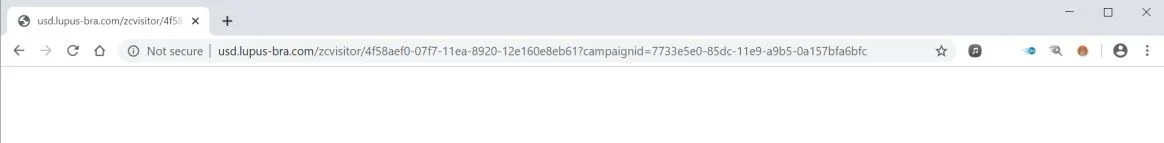 Image: Chrome browser is redirected to Usd.lupus-bra.com