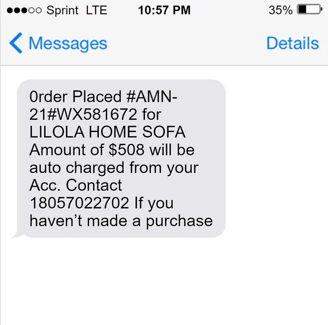 Lilola Home Sofa Text Message Scam - A Complete Breakdown 1 Lilola Home Sofa