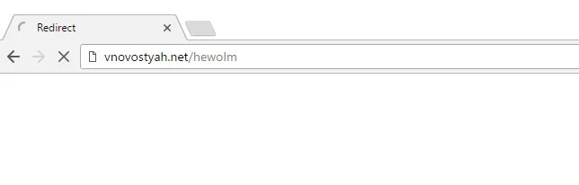 vnovostyah.net/hewolm virus
