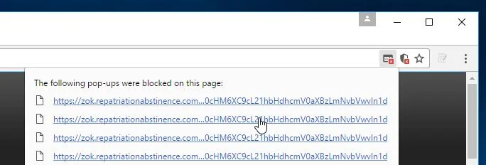 zok.repatriationabstinence.com virus