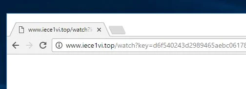 iece1vi.top virus