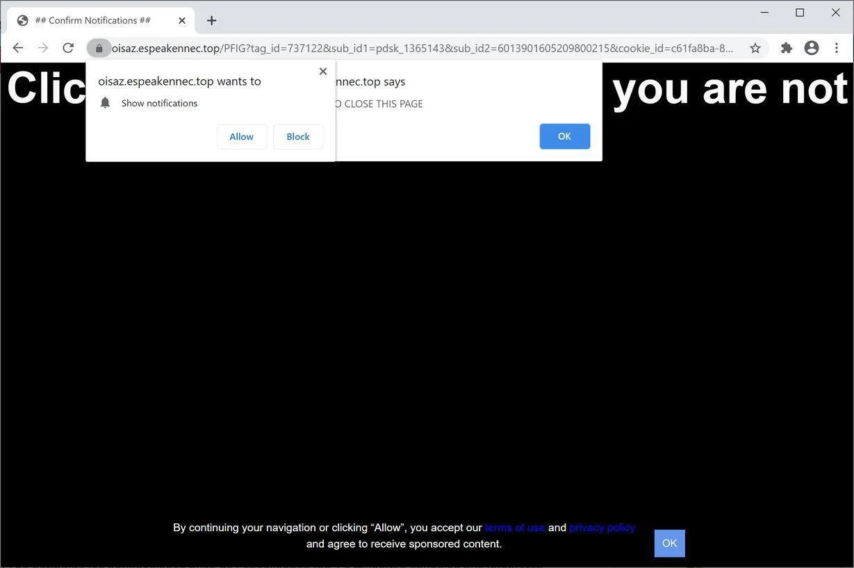 Remove Espeakennec.top pop-up ads (Virus Removal Guide) 1 Image: Chrome browser is redirected to Espeakennec.top