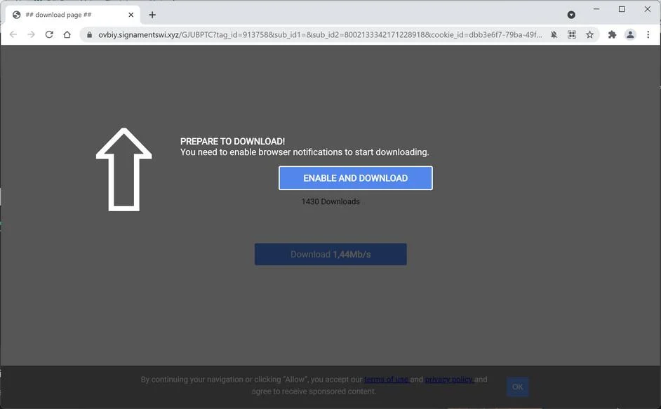 Image: Chrome browser is redirected to Signamentswi.xyz