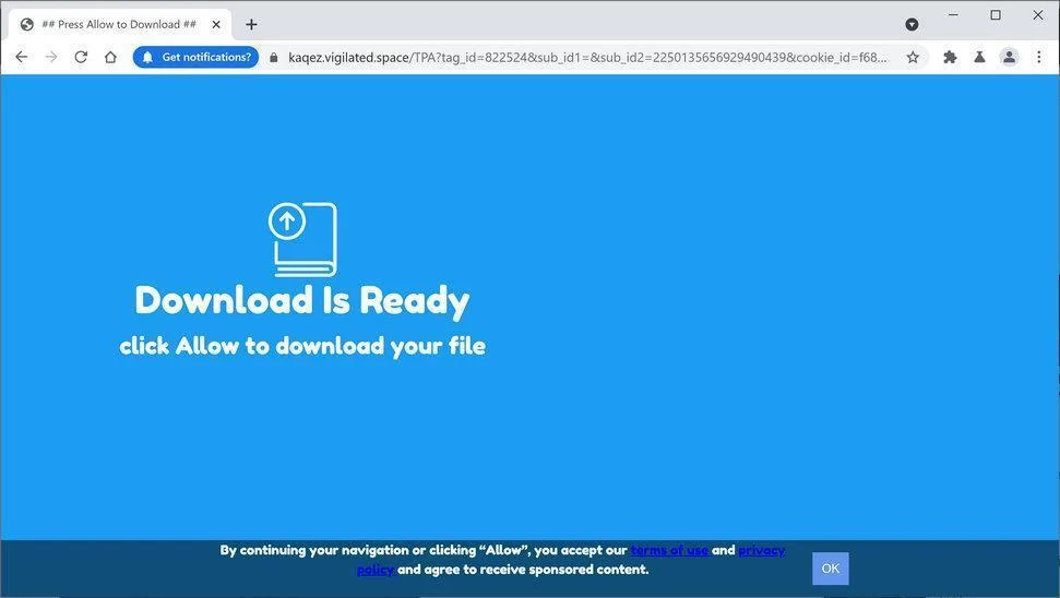 Image: Chrome browser is redirected to Vigilated.space