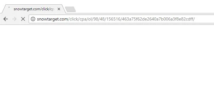 snowtarget.com virus