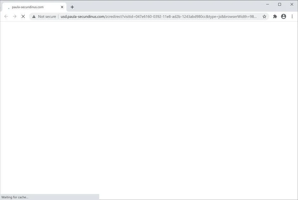 Remove Usd.paula-secundinus.com pop-up ads (Virus Removal Guide) 1 Image: Chrome browser is redirected to Usd.paula-secundinus.com