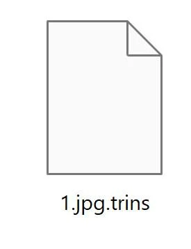 How to Remove TRINS Ransomware (Virus Removal Guide) 1 Image: Trins ransomware