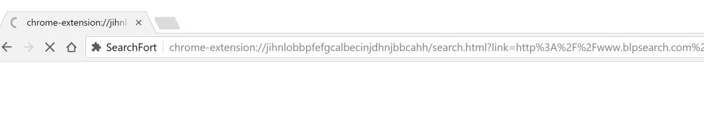 SearchFort Chrome Search