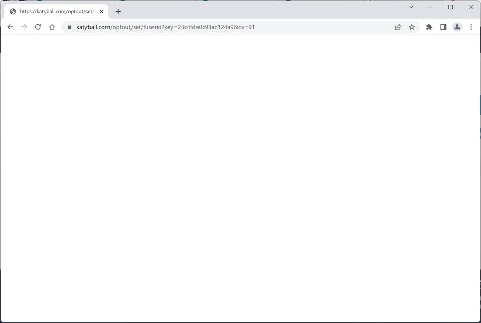 Image: Chrome browser is redirected to Katyball.com