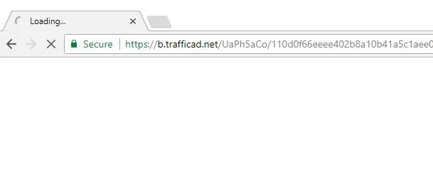 b.trafficad.net virus