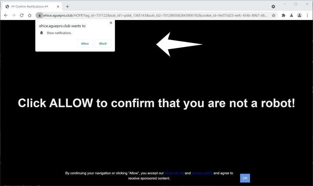 Image: Chrome browser is redirected to Aguepro.club