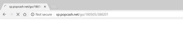 How to remove Sp.popcash.net redirect (Virus Removal Guide) 1 sp.popcash.net redirect virus