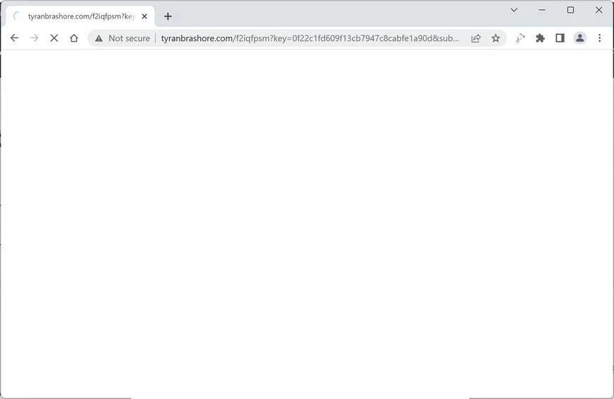 Image: Chrome browser is redirected to Tyranbrashore.com