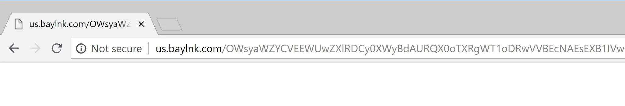 Us.baylnk.com redirect Us.baylnk.com redirect virus
