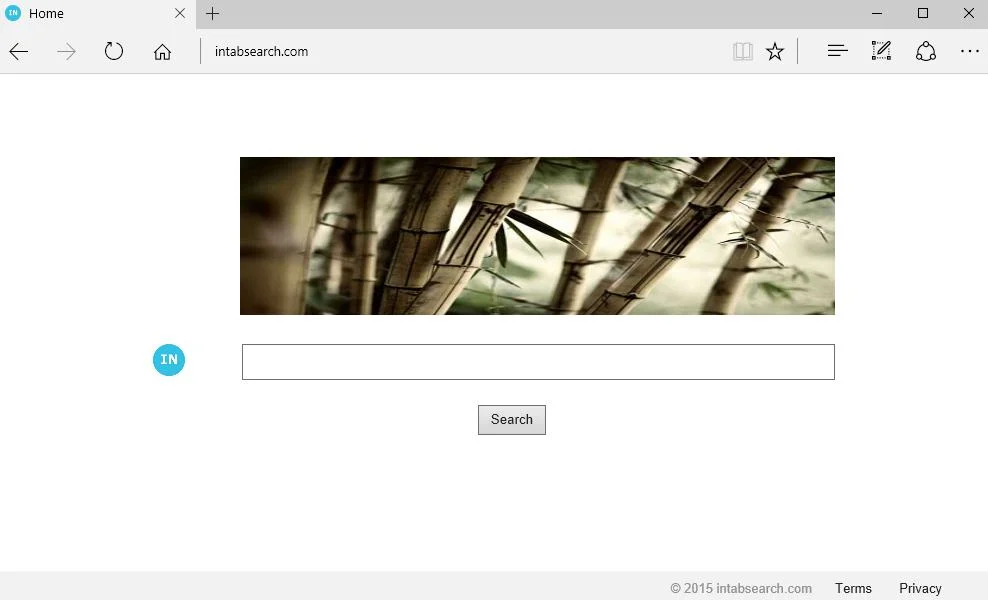 intabsearch.com virus