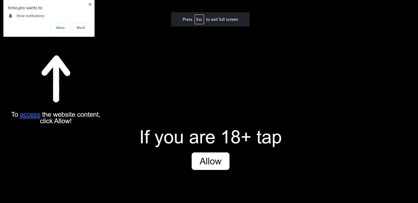 Image: Chrome browser is redirected to Timio.pro