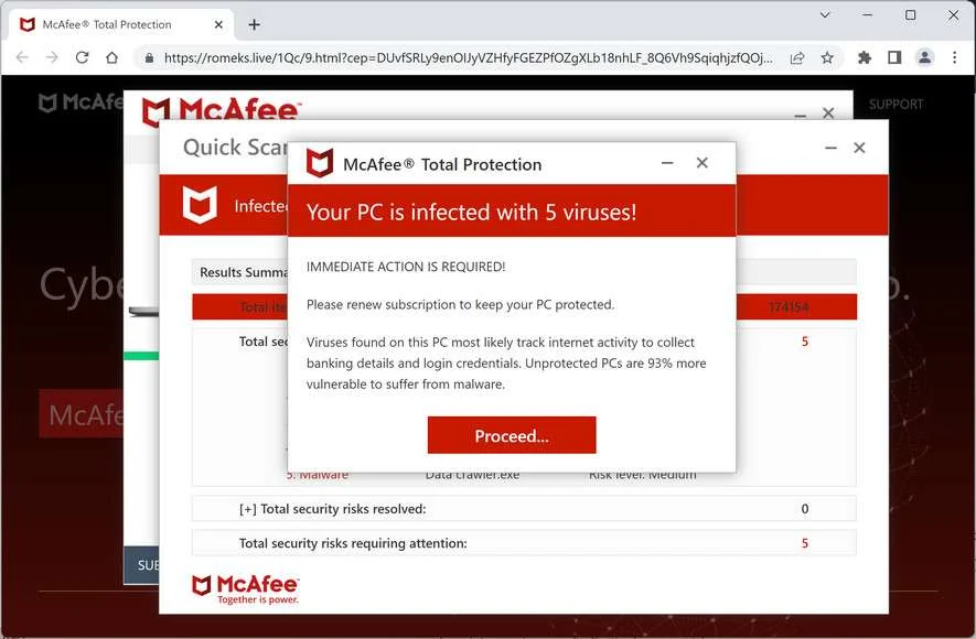 Image: Chrome browser is redirected to Romeks.live