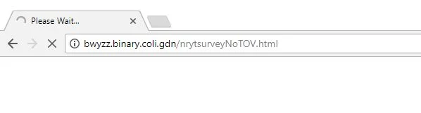 bwyzz.binary.coli.gdn virus