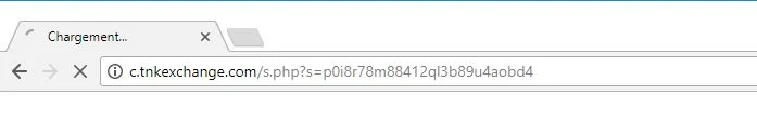 MiniEdition TT Adware