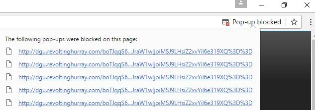 dgu.revoltinghurray.com virus