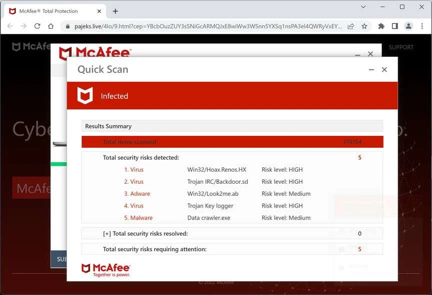Image: Chrome browser is redirected to Pajeks.live