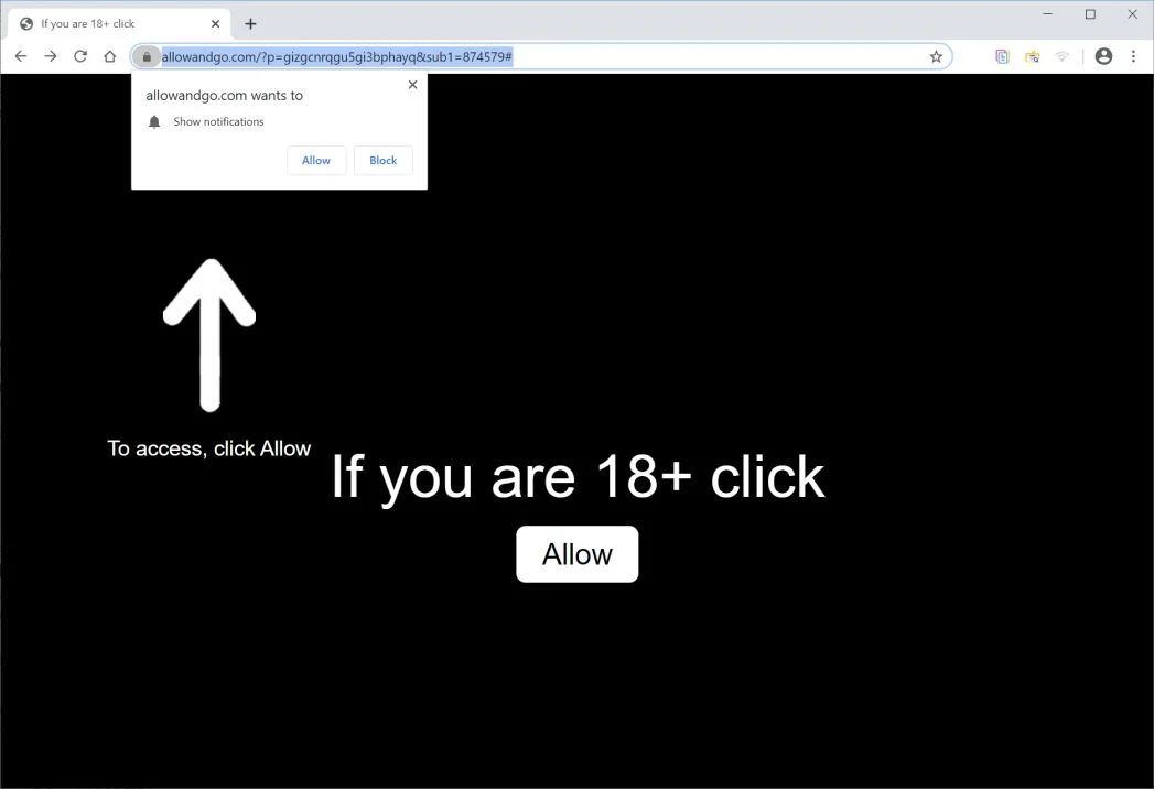 Remove Allowandgo.com pop-up ads (Virus Removal Guide) 1 Image: Chrome browser is redirected to Allowandgo.com