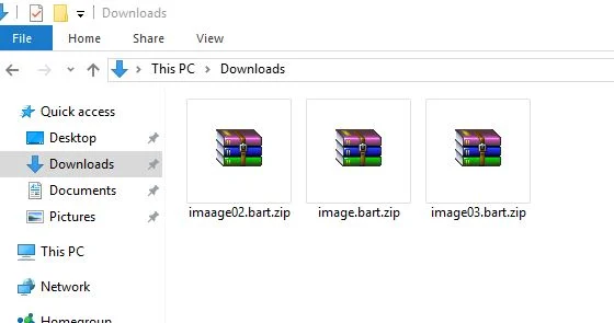 bart.zip virus