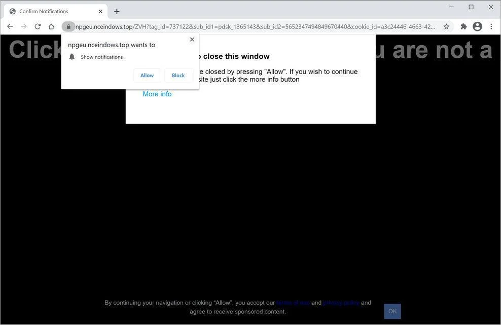 Remove Nceindows.top pop-up ads (Virus Removal Guide) 1 Image: Chrome browser is redirected to Nceindows.top