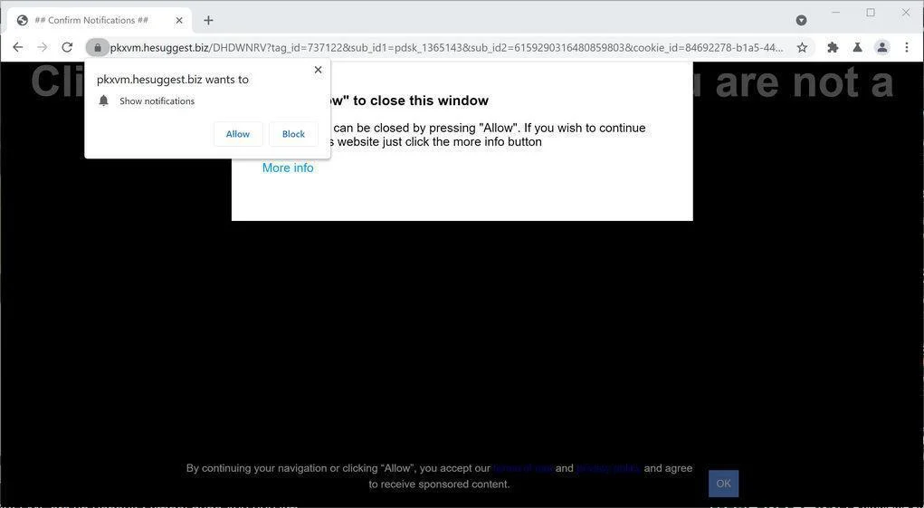 Remove Hesuggest.biz pop-up ads (Virus Removal Guide) 1 Image: Chrome browser is redirected to Hesuggest.biz