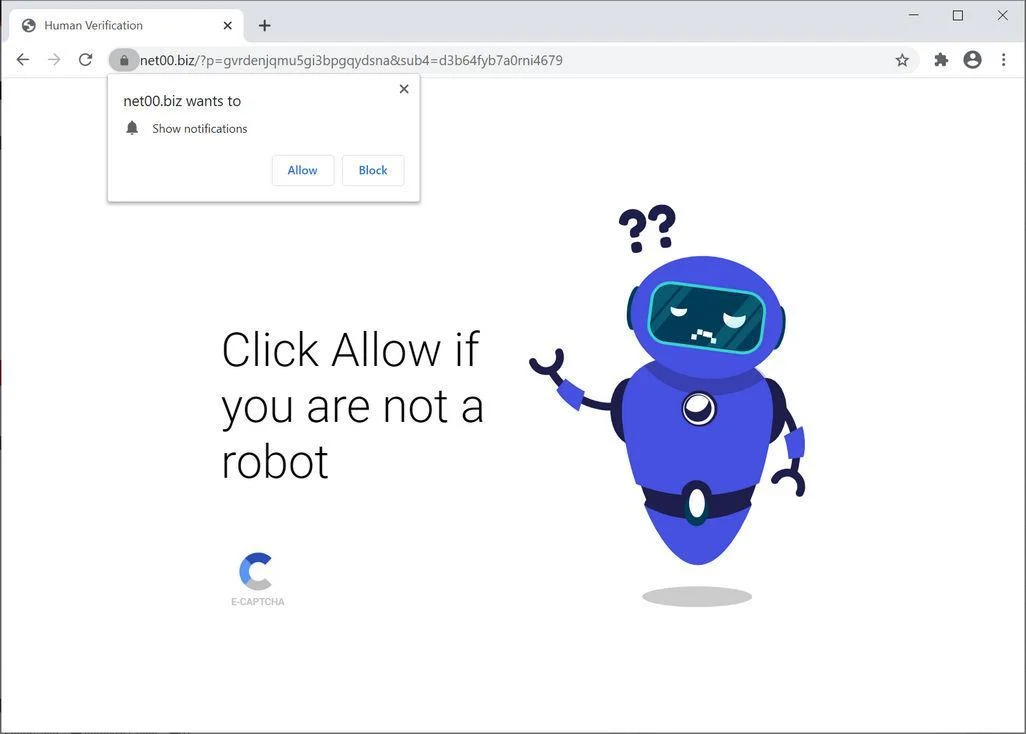 Image: Chrome browser is redirected to Net00.biz