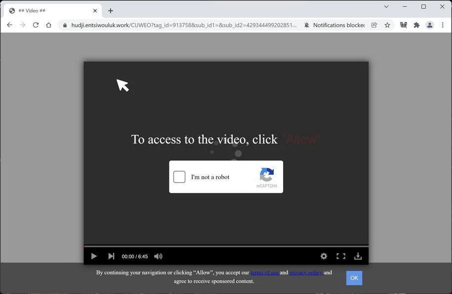 How to Remove Entsiwouluk.work Pop-up Ads (Virus Removal Guide) 1 Image: Chrome browser is redirected to Entsiwouluk.work