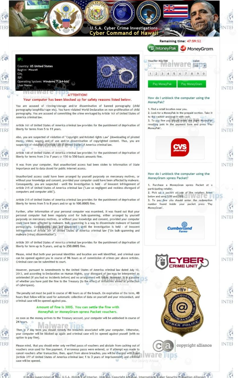 [Image: U.S.A. Cyber Crime Investigations virus]