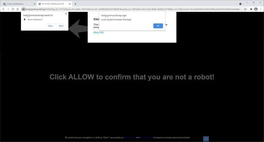 Remove Lyminuscrib.top pop-up ads (Virus Removal Guide) 1 Image: Chrome browser is redirected to Lyminuscrib.top