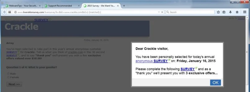 Livevisitorsurvey.com virus