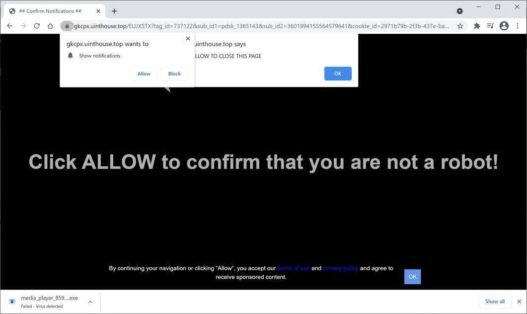 Remove Uinthouse.top pop-up ads (Virus Removal Guide) 1 Image: Chrome browser is redirected to Uinthouse.top