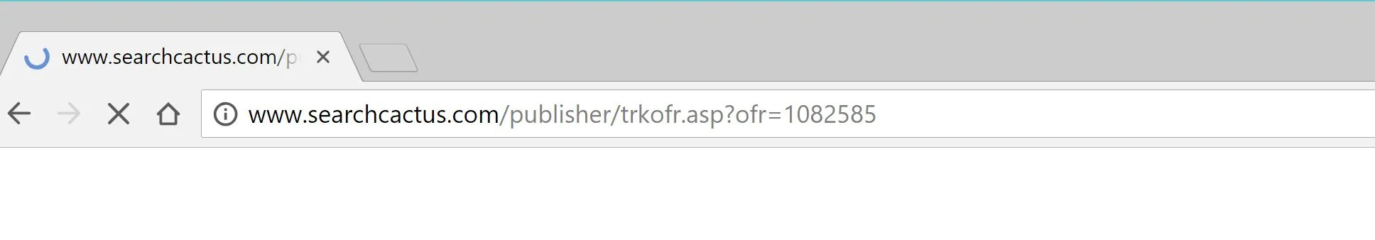 searchcactus.com redirect virus