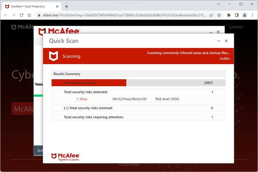Image: Chrome browser is redirected to Dobin.live