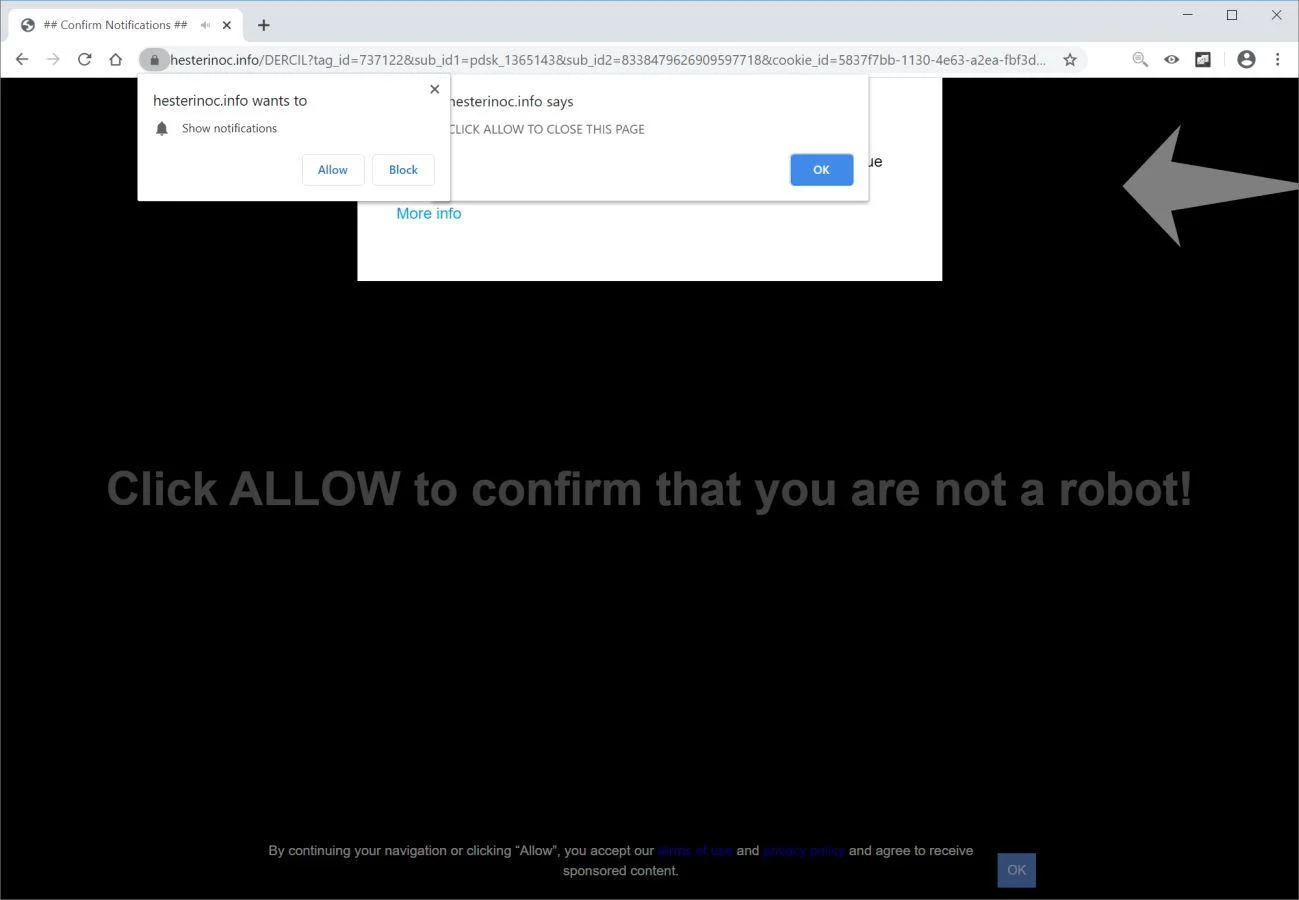How to remove Hesterinoc.info pop-up ads (Virus Removal Guide) 1 Image: Chrome browser is redirected to Hesterinoc.info