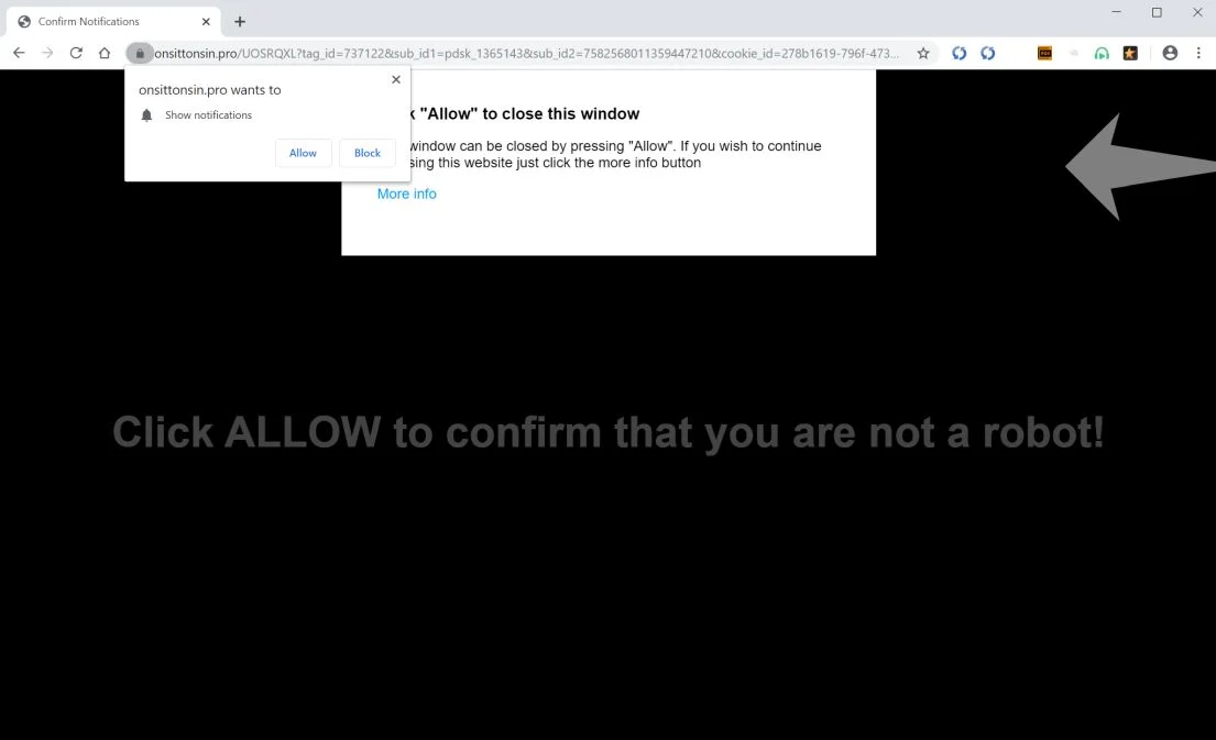 How to remove Onsittonsin.pro pop-up ads (Virus Removal Guide) 1 Image: Chrome browser is redirected to Onsittonsin.pro