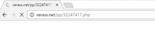 Xerass.net virus